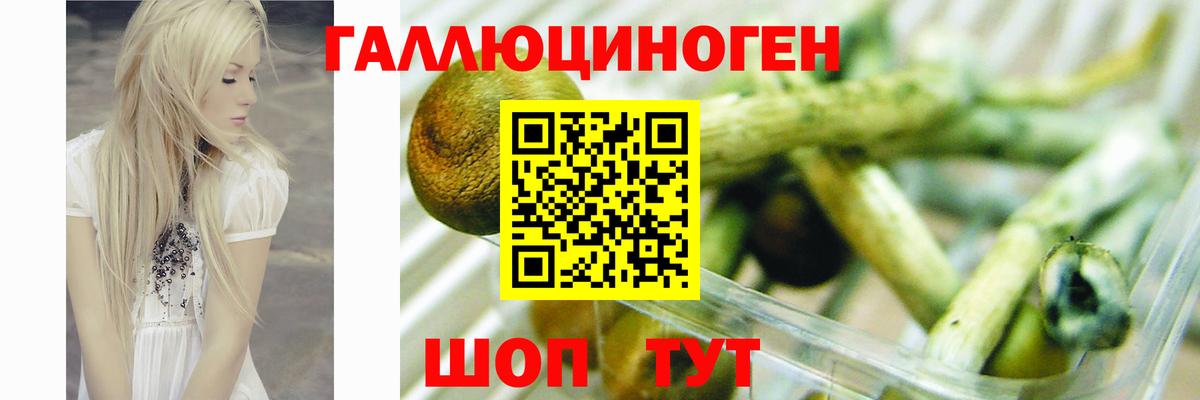 Псилоцибиновые грибы Cubensis  Вход с VPN  Кызыл 